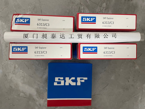 瑞典SKF 軸承6313-C3